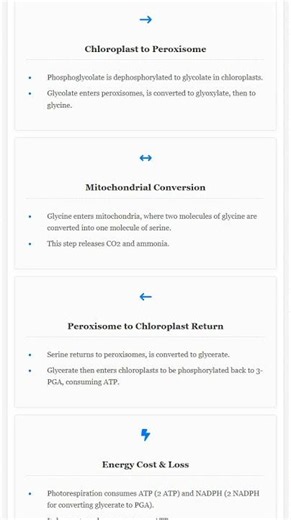Photorespiration C2 pathway and its implications