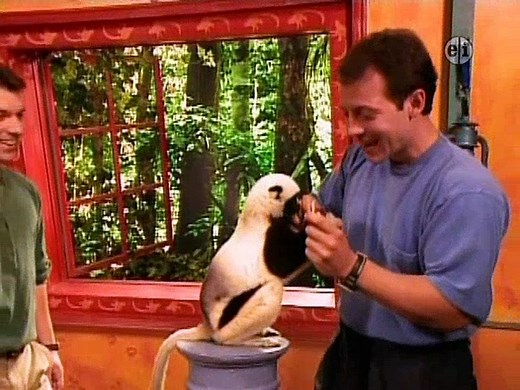 Zoboomafoo - Fast & Slow