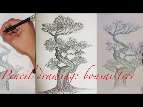 Sketching Serenity, Bonsai Tree Pencil Drawing Tutorial