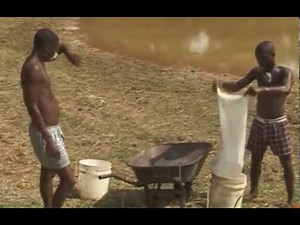 ABC of Fish Farming. Fish Farming in Nigeria using earthen ponds.