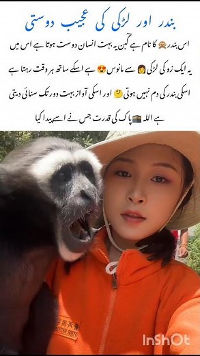 Unbelievable natural Bond Between Human & Gibbon #gibbon #naturefacts #nature #wildlife #shorts