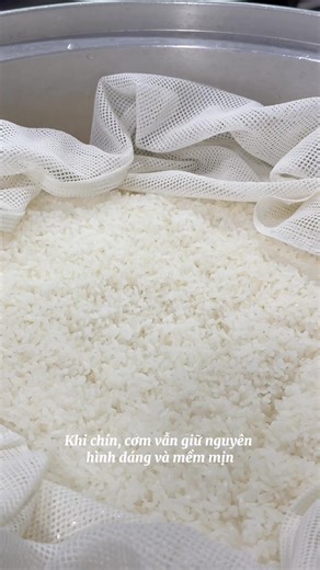 THE ART OF MAKING SUSHI RICE (English Below) Đằng sau mỗi tuyệt tác sushi tinh tế là nghệ thuật chế biến cơm từ gạo Nhật thượng hạng với những hạt gạo nhỏ tròn, đầy đặn, khi nấu lên cho ra cơm dẻo mềm, thơm dịu và thoang thoảng vị ngọt tự nhiên. Mỗi mẻ cơm đều được vo kỹ, canh chuẩn lượng nước và nhiệt độ, để khi chín, từng hạt cơm vẫn giữ nguyên hình dáng và mềm mịn. Sau đó, cơm được trộn cùng giấm trắng Nhật tạo nên hương vị cân bằng đặc trưng: chua nhẹ, ngọt thanh và dẻo thơm. Kết hợp với đa 