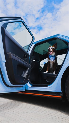IONIQ 5 N | Celebrating International Dog Day