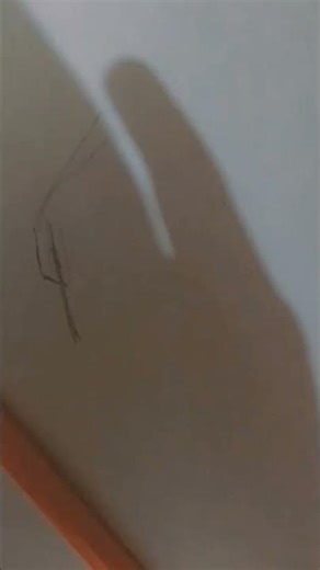 drawing of boxer #drawing #art #best