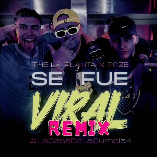 roze / the la planta -