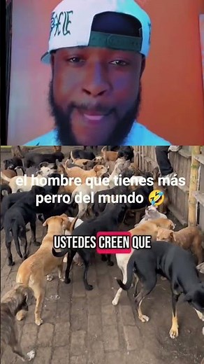 el hombre que tienes más perro del mundo 🤣🤣🤣 #facebook #videoviral #videoviral #usa #shorts #reels
