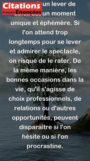 William Arthur Ward - Les bonnes occasions sont comme les levers de soleil. Si vous tardez #shorts