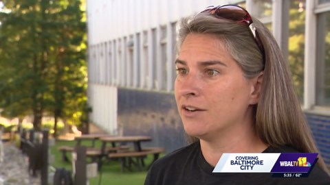 Report details overall health of Baltimore's harbor