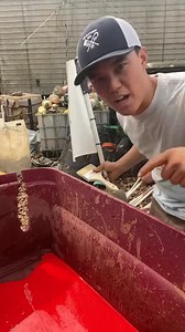 If you want to avoid crab pots when boating avoid edges and shoal water! Most pots are laid following edges🦀 #youaintnocrabber #marylandcheck #fvsoutherngirl #smallbuisness #support#123 | McFadden Luke Reels