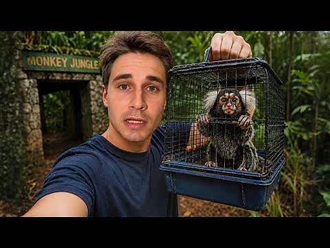 I RESCUED a PET MONKEY For My ZOO!