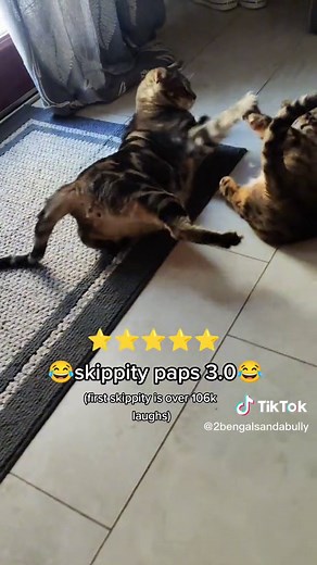 Hilarious Skippity Paps Moments with Tony Baker