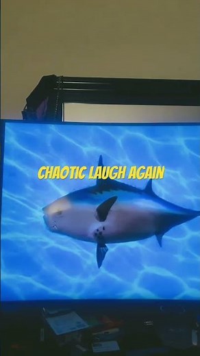 SpongeBob intro fandub Dutch (Netherlands)