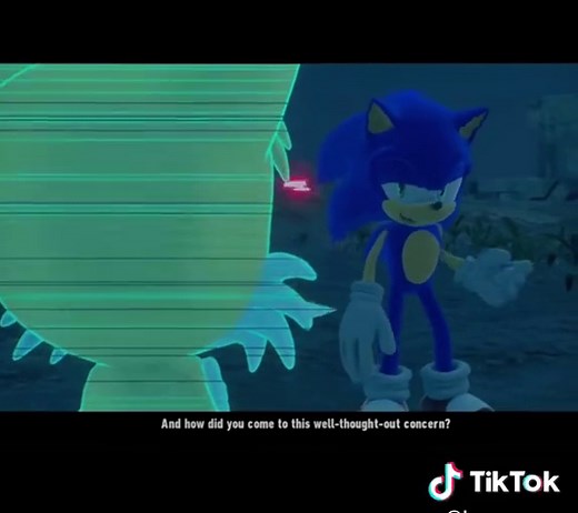 Sonic and Tails Brotherly Bond