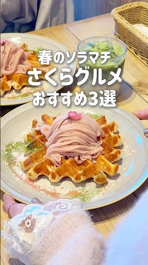 [Tokyo Solamachi] Cherry Blossom Gourmet Roundup 🌸
