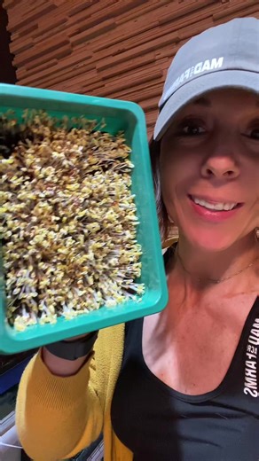 Guided Crop Growth for Kids: Fun Microgreens Project