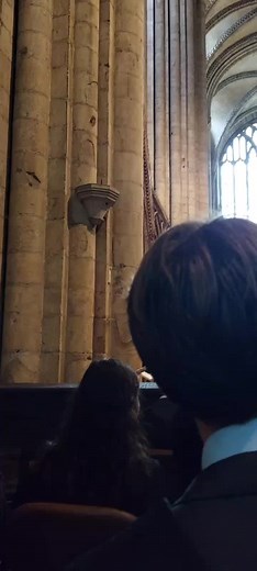 Exploring Gothic Cathedral Architecture in Detail