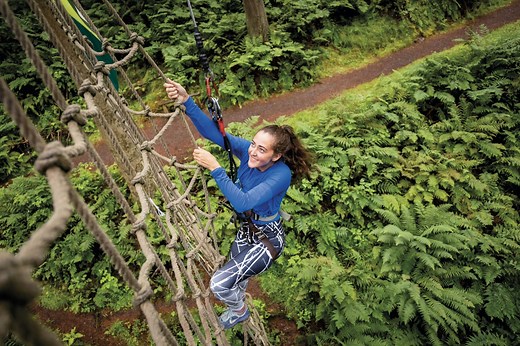 Go Ape Glentress Forest Peebles | High Ropes & Zips
