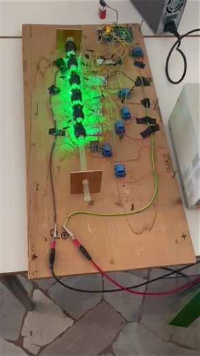 Linear Electromagnetic Accelerator 24/25