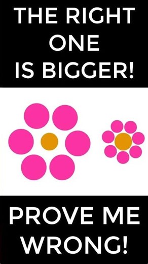 Ebbinghaus Illusion #shorts #opticalillusion