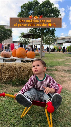 Campo delle Zucche Bari: Una Domenica al FlorPark con i Bambini 🎃