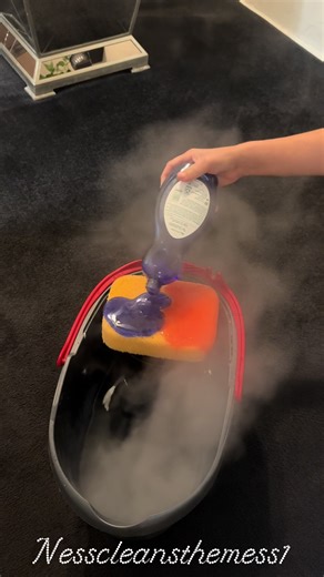 Keeping the Rug Clean: Tips for Family Life