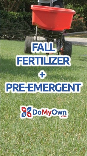 Fall Lawn Care for Warm-Season Grass: Fertilizer + Pre-Emergent