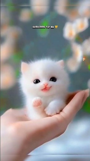 Cute 💝 Tiny Kitty 😺 Singing apt apt Song Lyrics #apt #cat #kitten #viralshorts