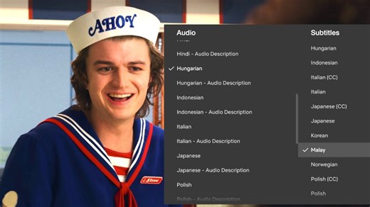 Learn a New Language with Netflix as TV Subtitling and Dubbing Options Grow