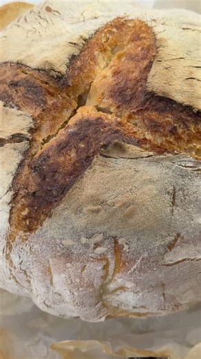 Why Homemade Sourdough Tastes So Good