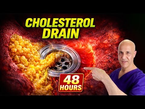 Your Body Has a Cholesterol Drain — This Turns It On in 48 Hours | Dr. Mandell