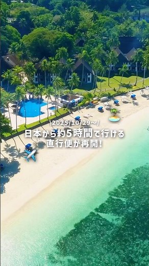 🎉この秋ついに直行便が再開！日本から約5時間の楽園・パラオ🇵🇼✈️