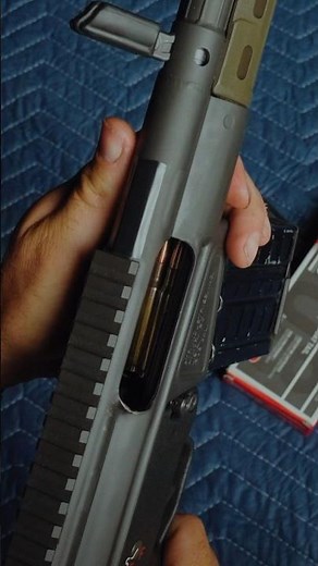 PTR 91 (HK G3 Clone)