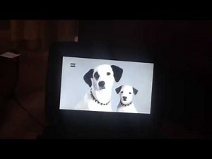 Opening to Disney's Growing Up With Winnie The Pooh: A Great Day For Discovery DVD 2005