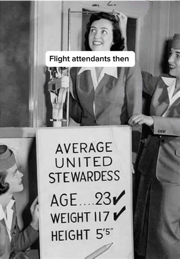 Why You Should Become a Flight Attendant Today