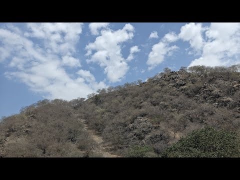 LIVE NAME WRITING 🔥 || AND FUN CODE GAME 🎯 || HURRY UP 😁 ||