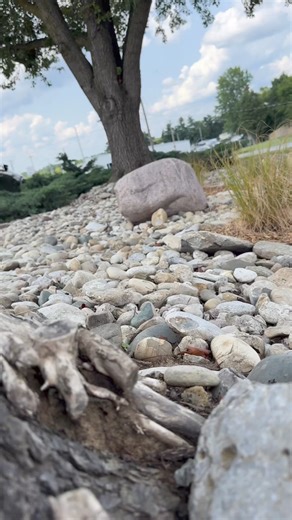 13K views · 20 reactions | Professional rock mover #rock #Moving #service | Jason the Great | Facebook