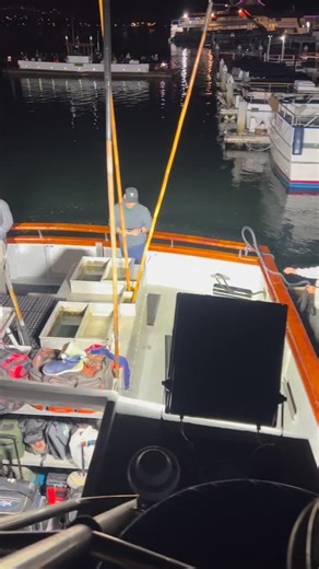 Yeheay!!! TightLines 🎣🎣🎣 #filipinomafia #fishinglife #fishinglife #fish #tuna #yellowtail #adventure #socalfishing | Jay-r Smells Fishy