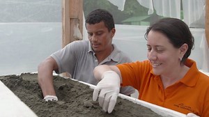 1.3K views · 51 reactions | As part of our commitment to sustainability in Costa Rica, the turtle protection program that APM Terminals launched back in 2015 has released an average of 44 newly hatched hawksbill, leatherback and green turtles every day. | APM Terminals | Facebook