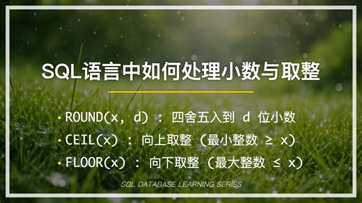 100秒学会 SQL 数值取整：ROUND、CEIL、FLOOR 全解析！