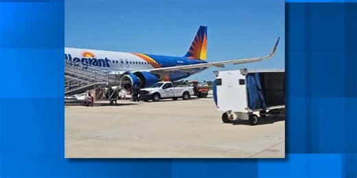 ‘That kind of sounds funny’: Plane makes unexpected landing after bird collides with engine