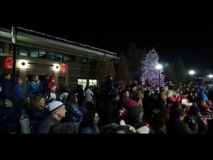 Tree Lighting Ceremony 2015