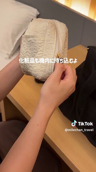 機内持ち込みサイズ変換の旅行グッズと持ち物