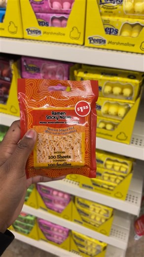 Mini Notebook Review at Dollar Tree: Yay or Nay?