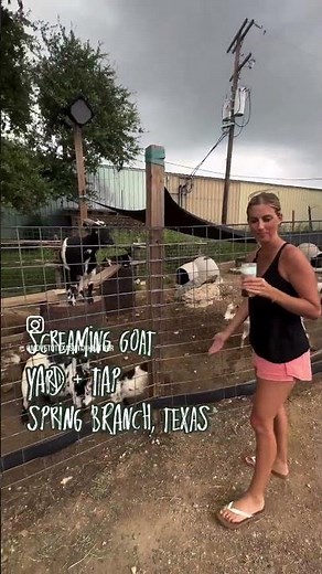 Looking for live music, great food, and… actual goats?check out The Screaming Goat in Spring Branch!