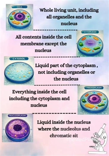Nucleoplasm, cytoplasm, cytosol, protoplasm, difference #neetbiology#boards