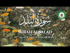 Surah Al Balad | al balad | Surat Al-Balad | surah al balad 100 times | Surah Al Balad | سورة البلد