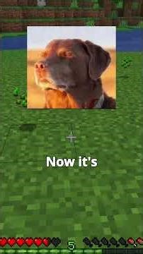 Finding Memes Origin sounds #part7 #funny #memes #ytshorts #shorts #memesorigin #minecraft #viral