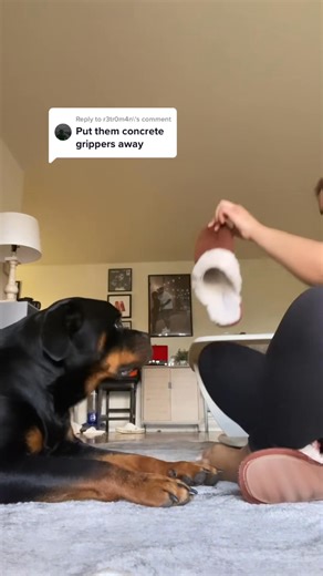 11K views · 572 reactions | Reply to what is the deal with fuzzy slippers？ 藍 #SmellLik..._fix_000 | Horace Owens | Facebook