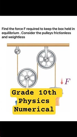Find Force required in the pulley #physics #pulley #numericals #grade10th