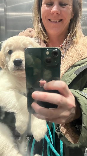 Socialisation is more than just meeting dogs! 🌍 Think socialisation is just about introducing your puppy to other dogs and people? Think again! All of these things in this video count towards socialisation. Puppies should be out and about, seeing the world and getting exposed to a variety of sights, sounds, textures, and environments. Only focusing on meeting other dogs and humans can actually be detrimental to this process! Everything you see in this reel counts as socialisation. Share this po